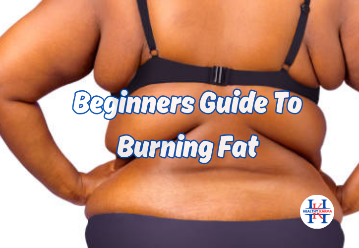 beginner's guide to fat burning